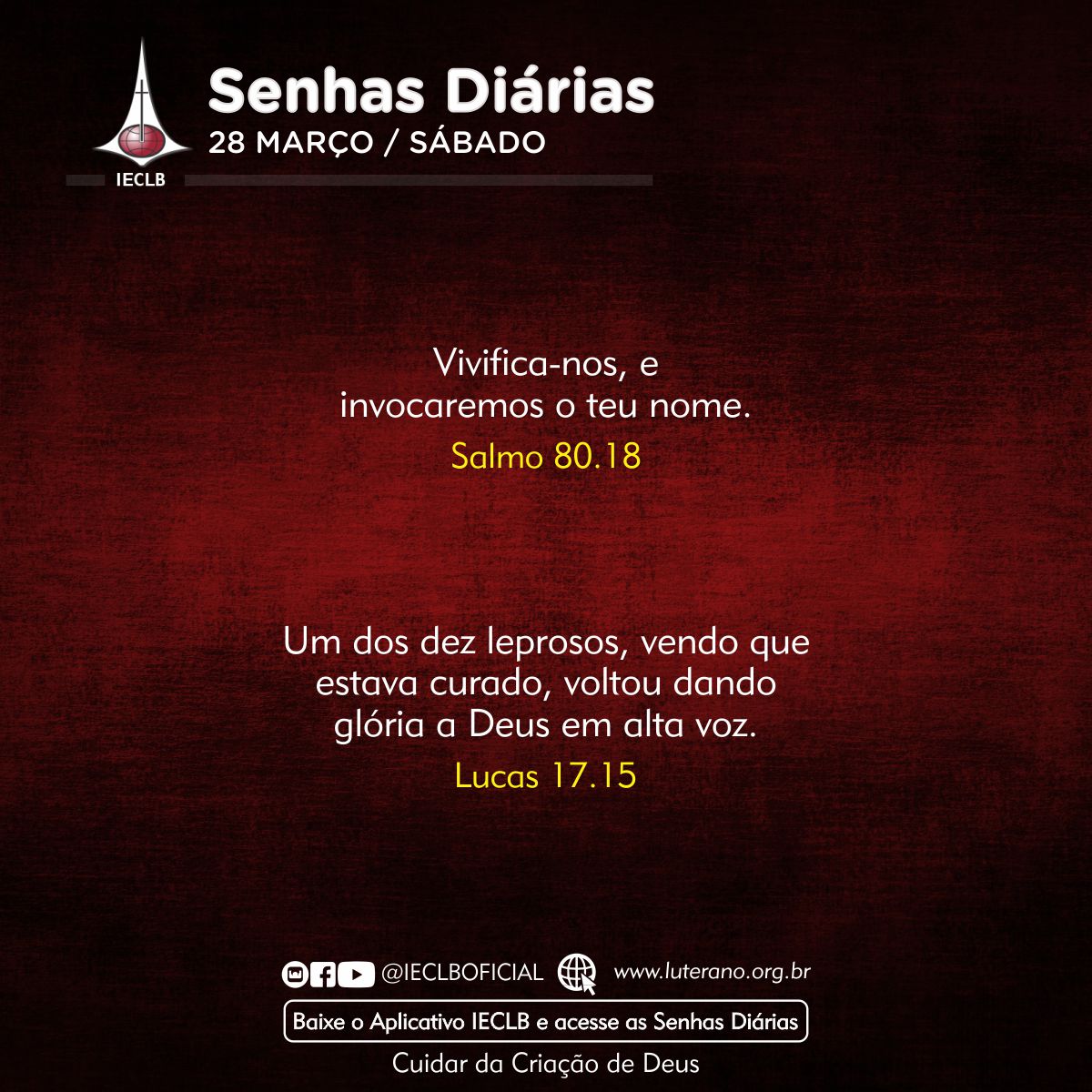 Senhas Diárias 28 03 2026