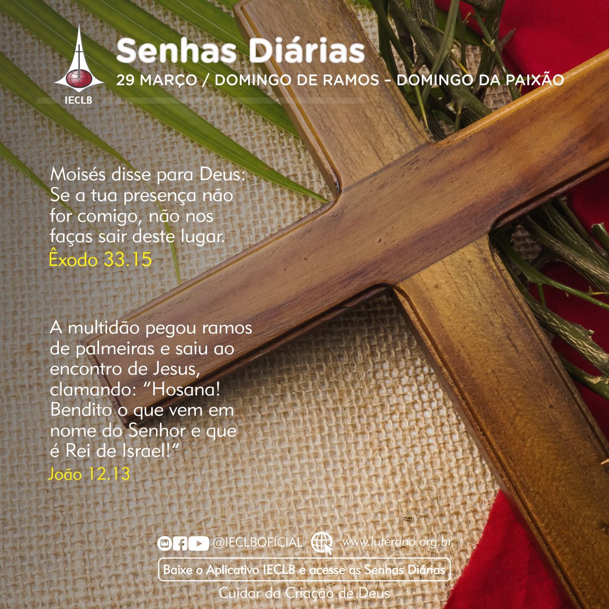 Senhas Diárias 29 03 2026