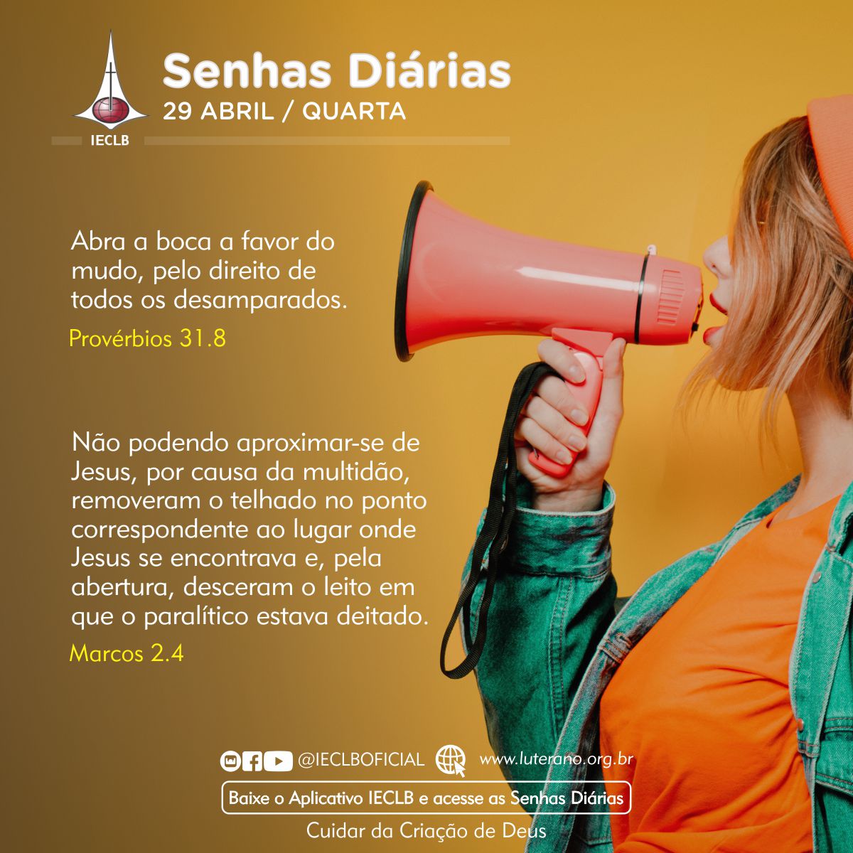 Senhas Diárias 29 04 2026