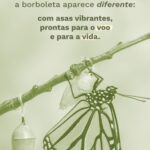 Meditações quaresma e páscoa - borboleta