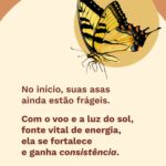 Meditações quaresma e páscoa - borboleta
