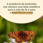 Meditações quaresma e páscoa - borboleta
