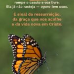 Meditações quaresma e páscoa - borboleta