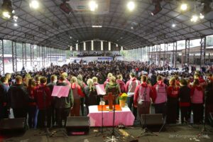 CONGRENAJE-Dia 2