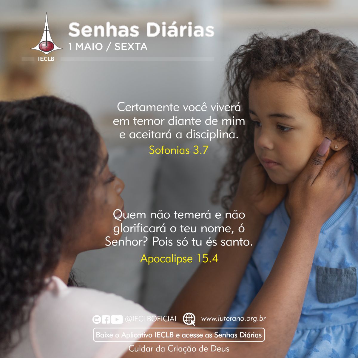 Senhas Diárias 01 05 2026