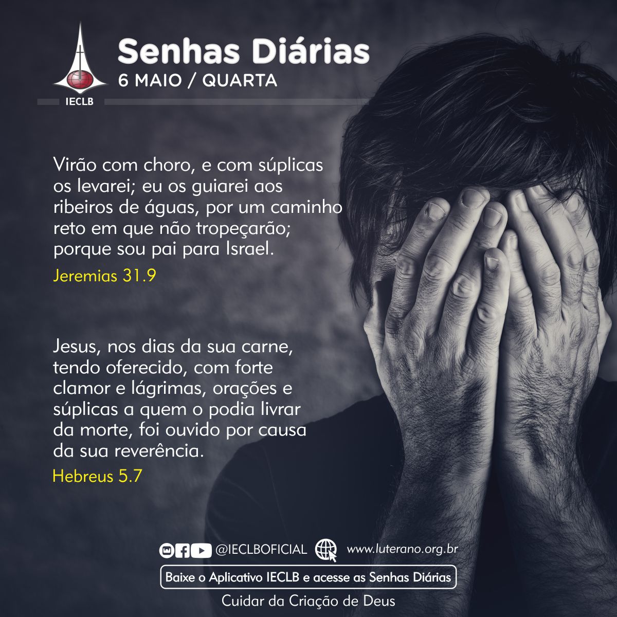 Senhas Diárias 06 05 2026