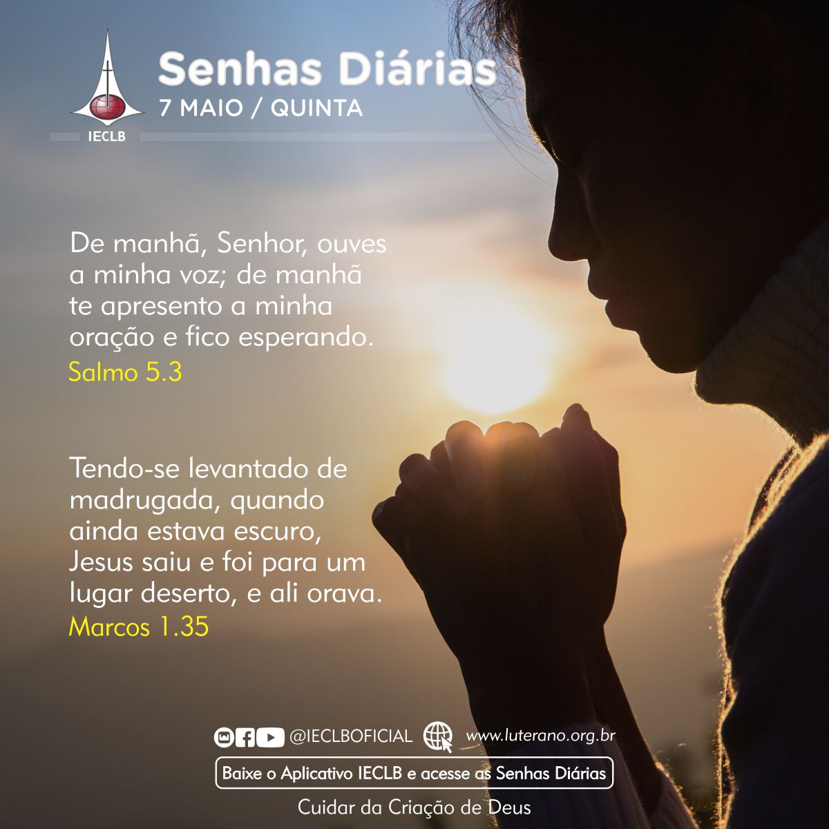 Senhas Diárias 07 05 2026