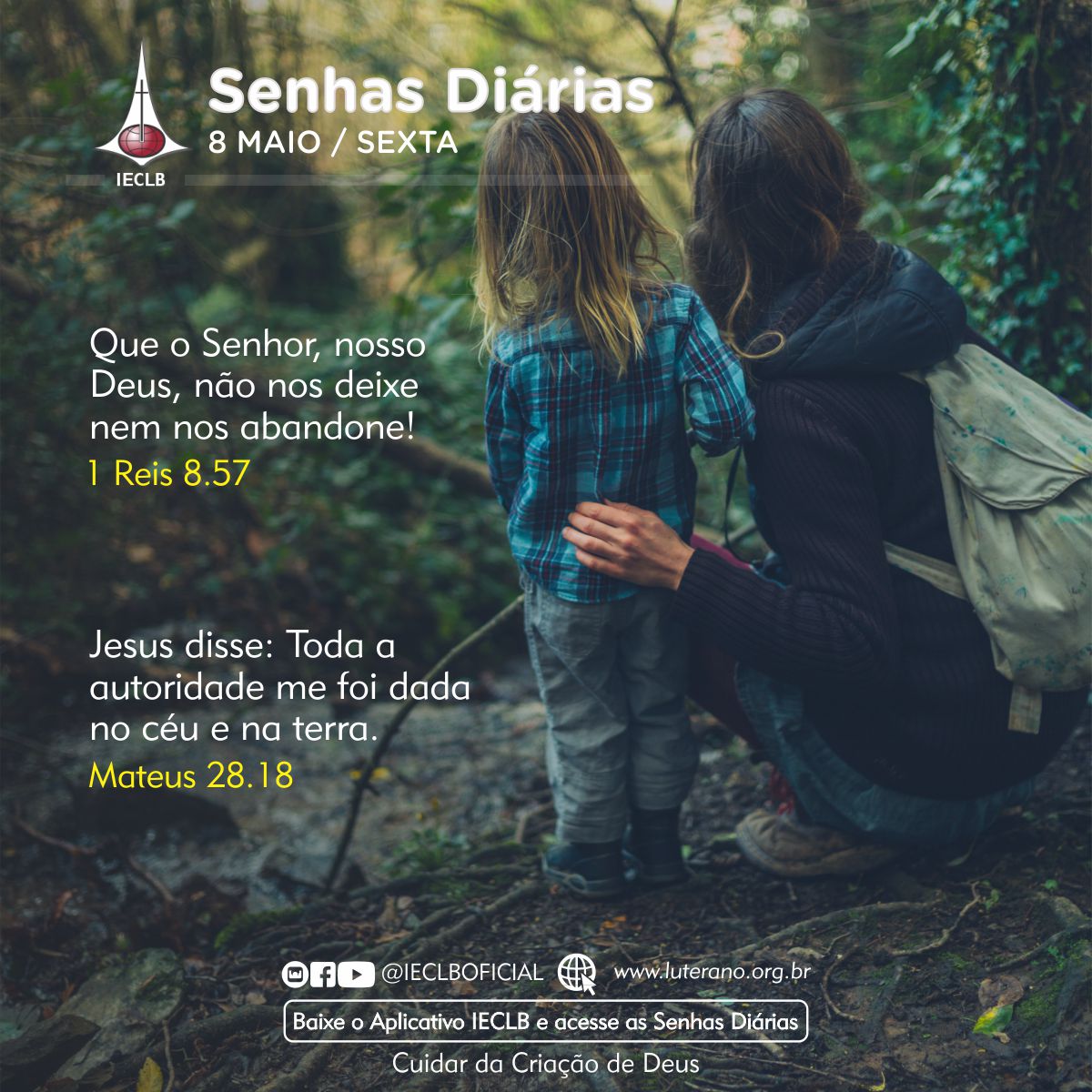 Senhas Diárias 08 05 2026