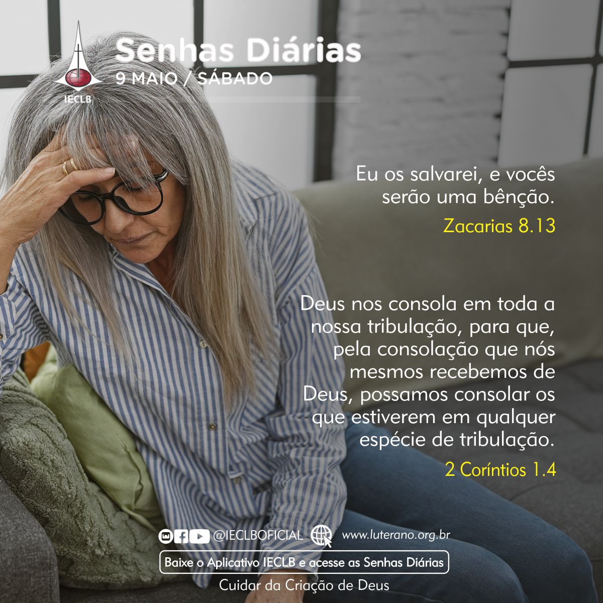 Senhas Diárias 09 05 2026