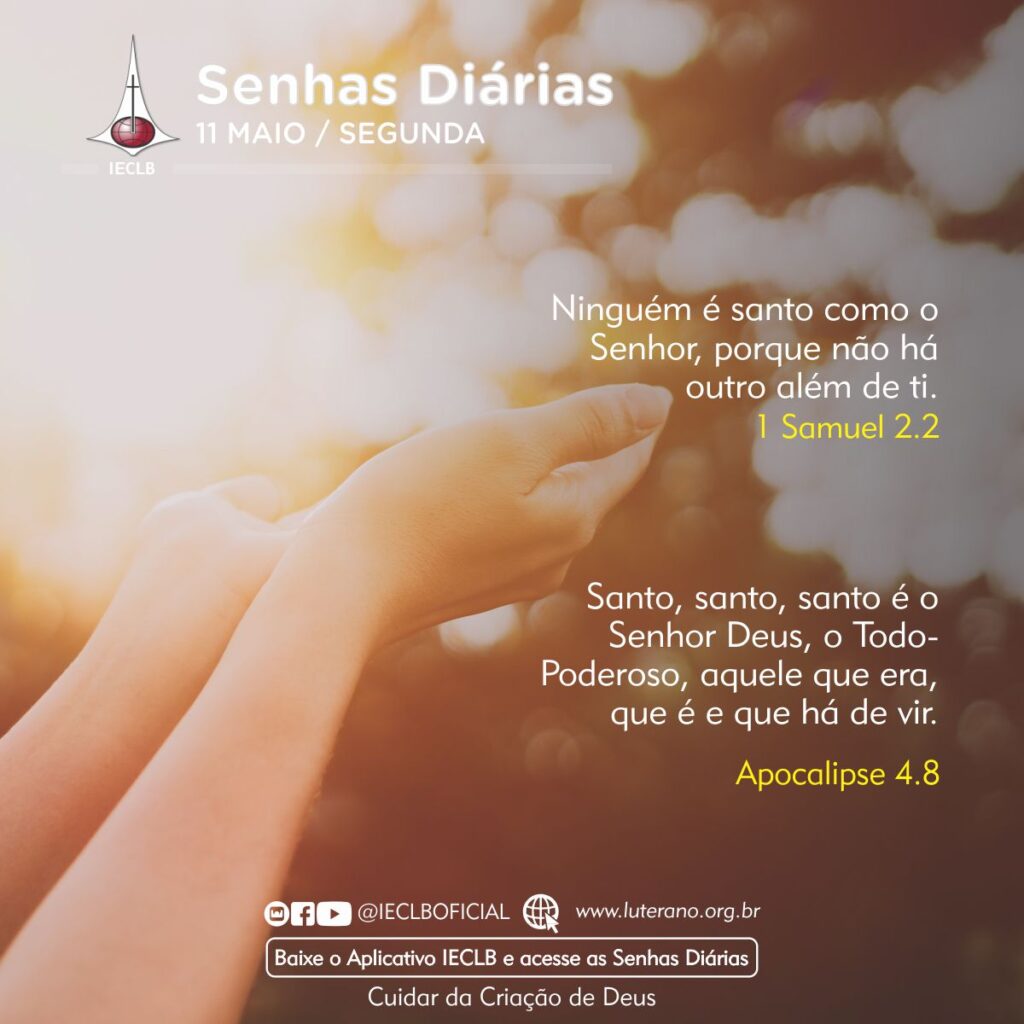 Senhas Diárias 11 05 2026