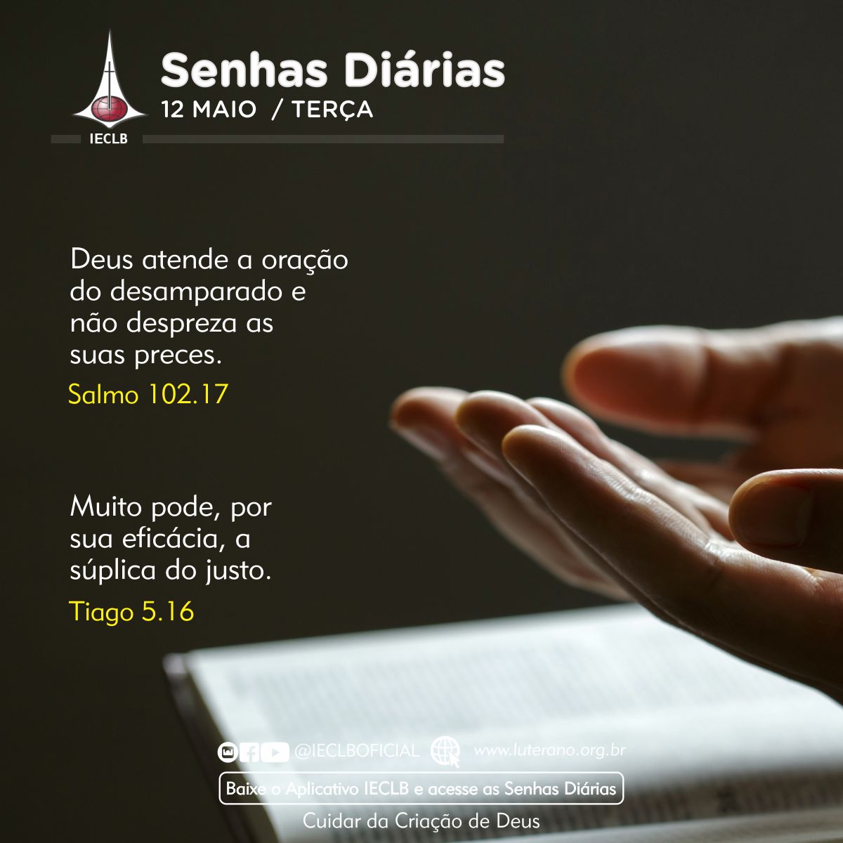 Senhas Diárias 12 05 2026