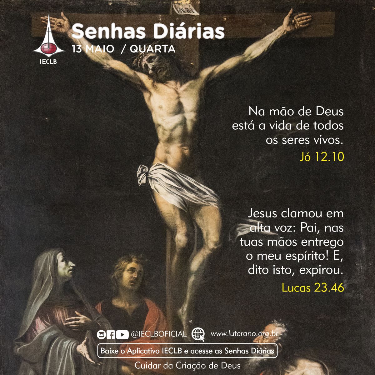 Senhas Diárias 13 05 2026