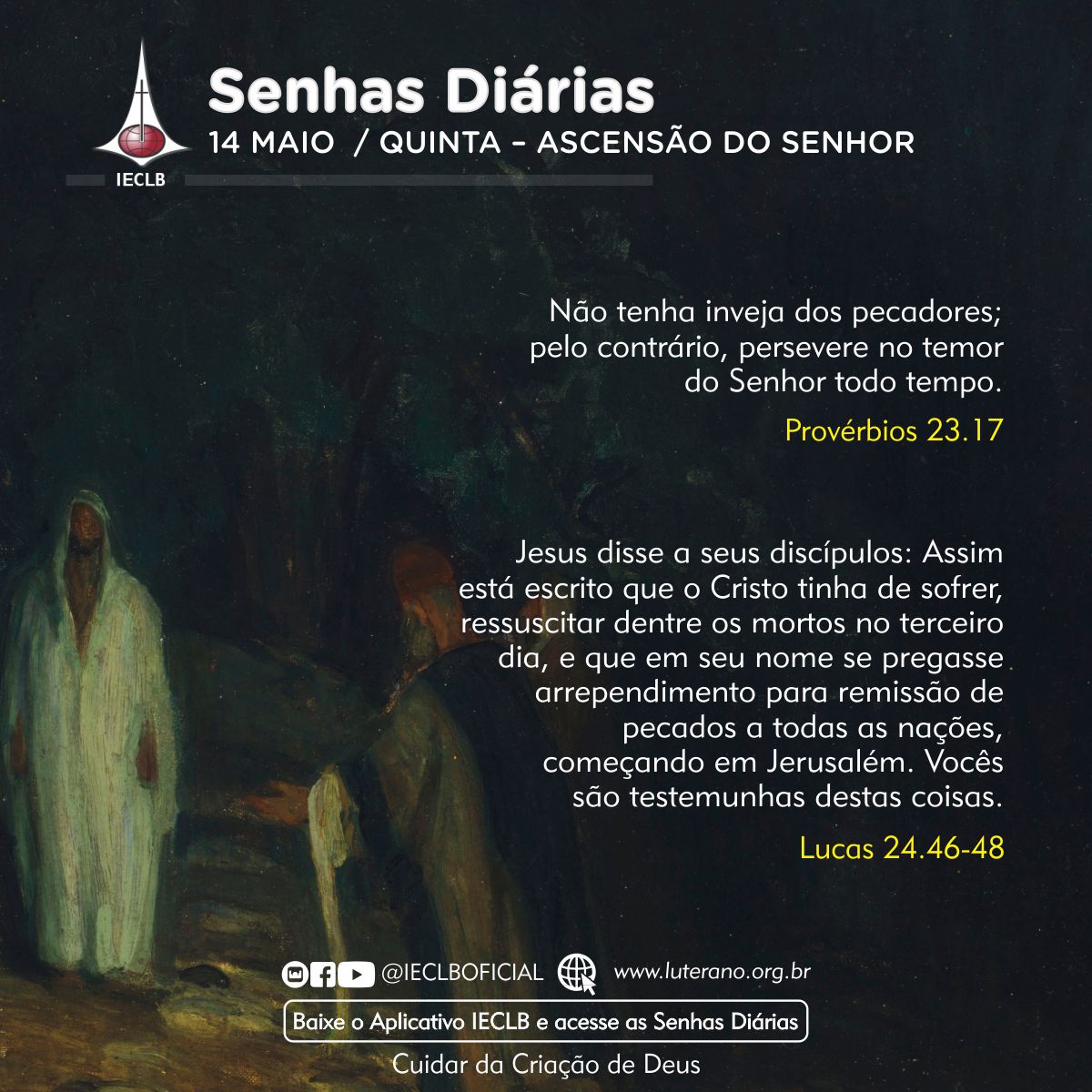 Senhas Diárias 14 05 2026