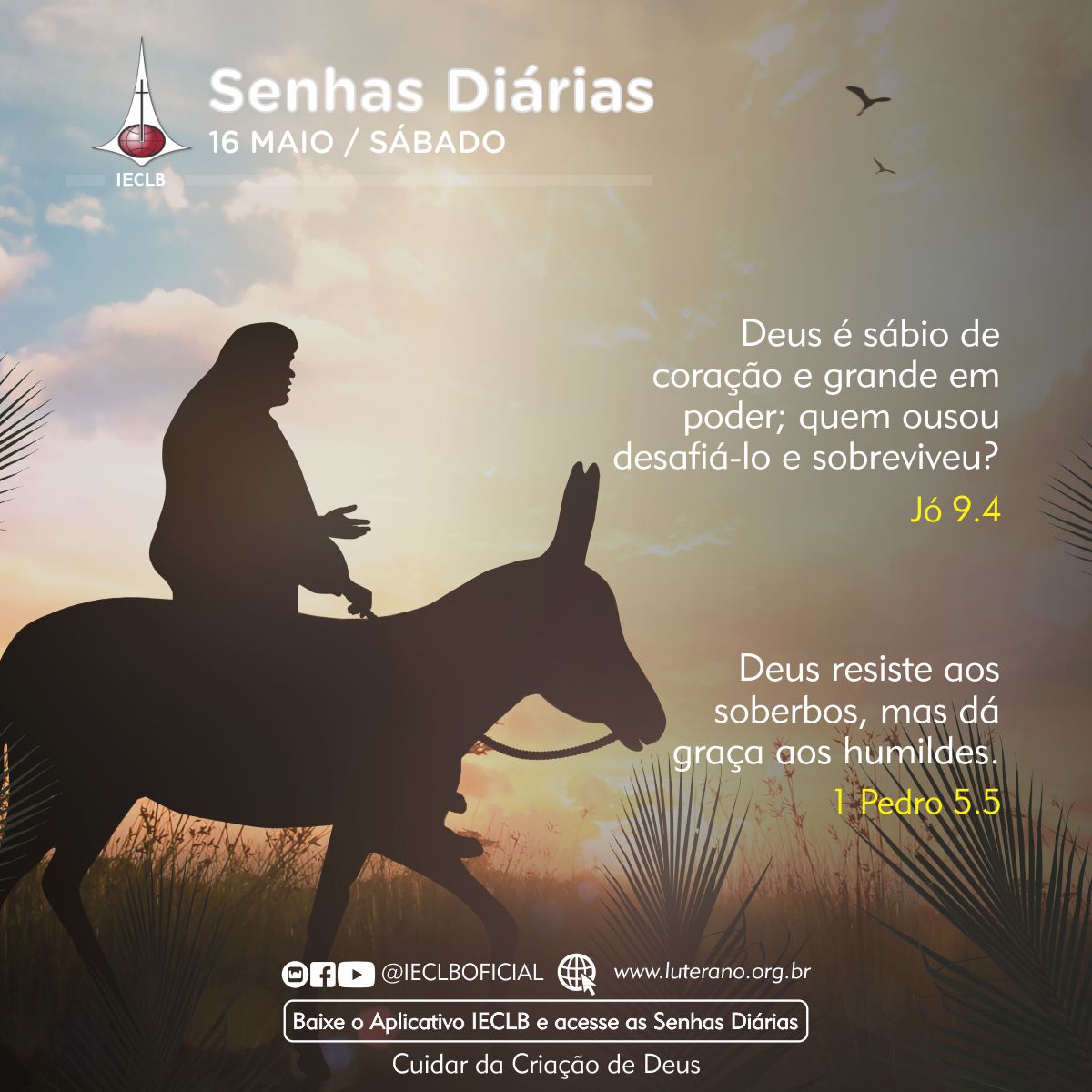 Senhas Diárias 16 05 2026