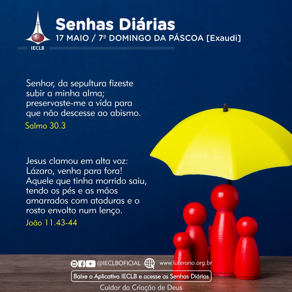 Senhas Diárias 17 05 2026