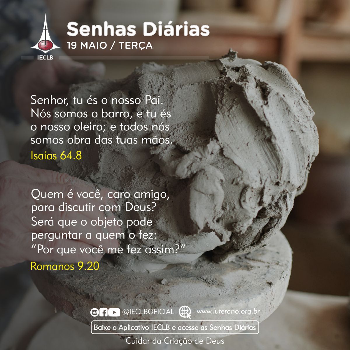 Senhas Diárias 19 05 2026