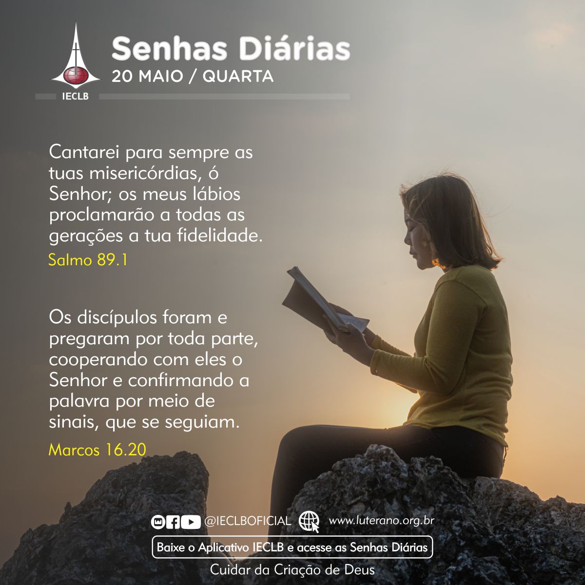 Senhas Diárias 20 05 2026