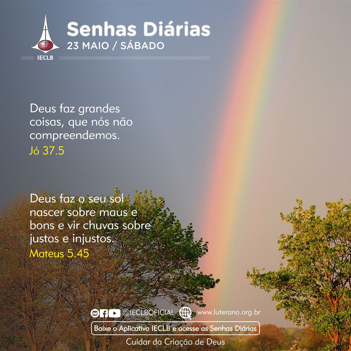 Senhas Diárias 23 05 2026