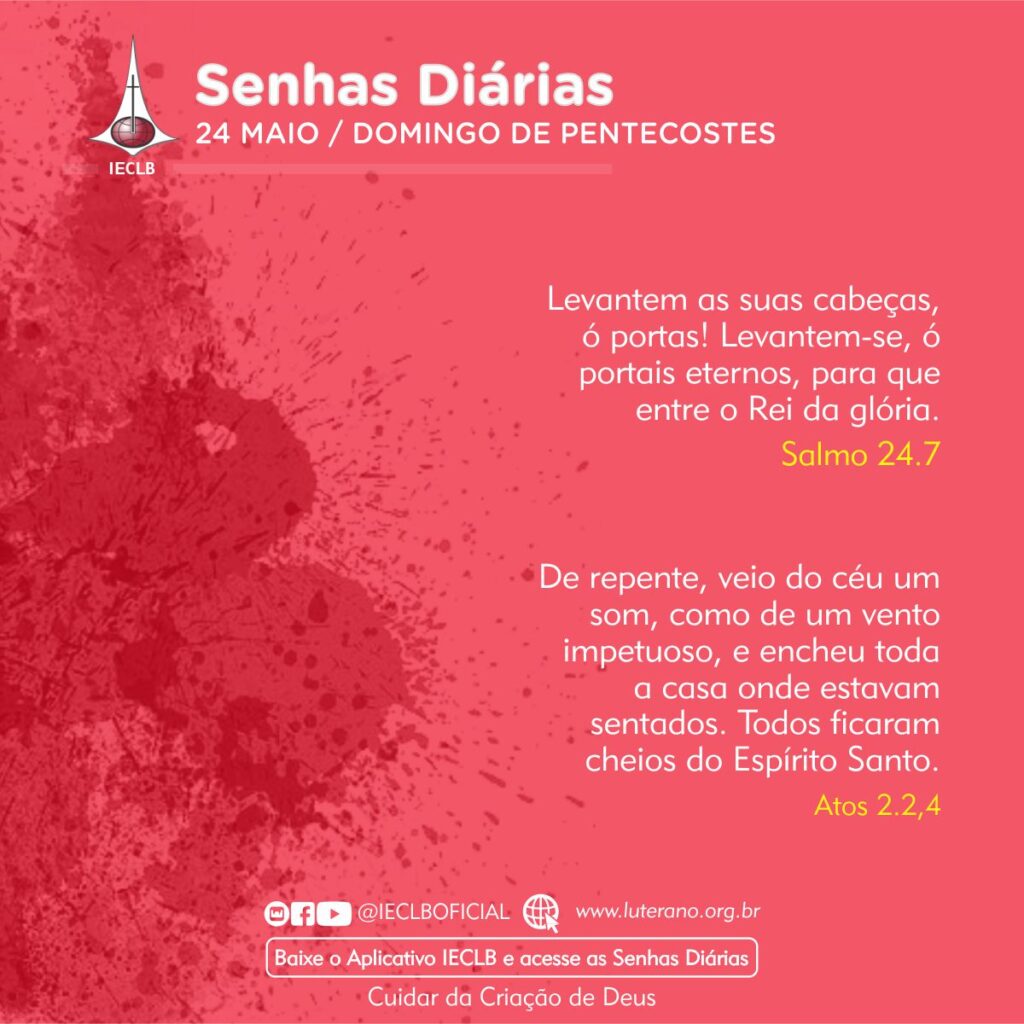 Senhas Diárias 24 05 2026