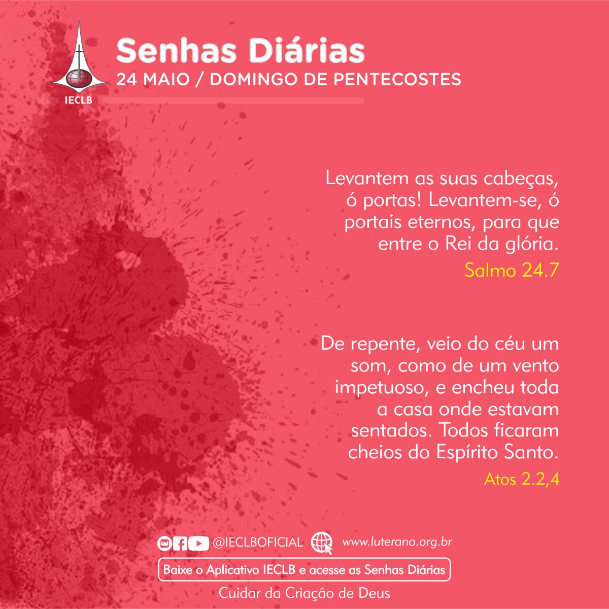 Senhas Diárias 24 05 2026