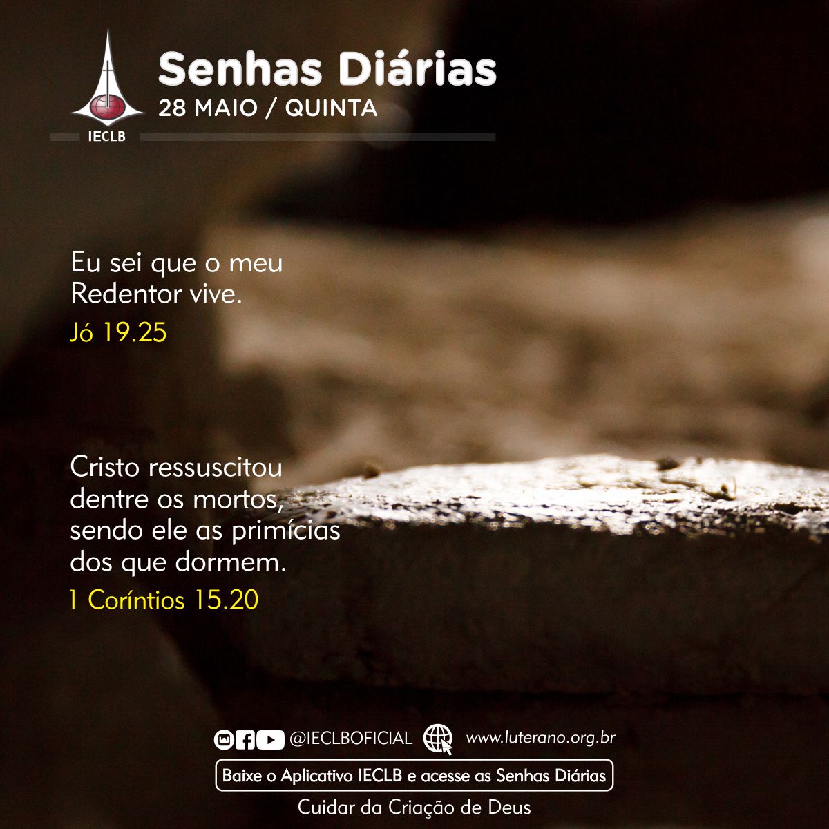 Senhas Diárias 28 05 2026