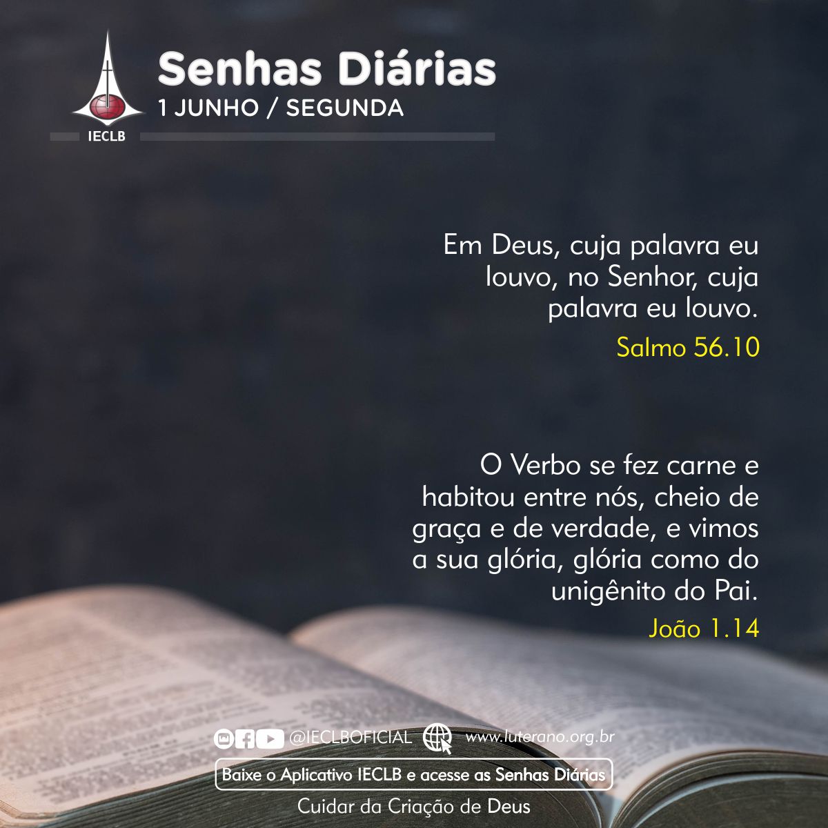 Senhas Diárias 01 06 2026