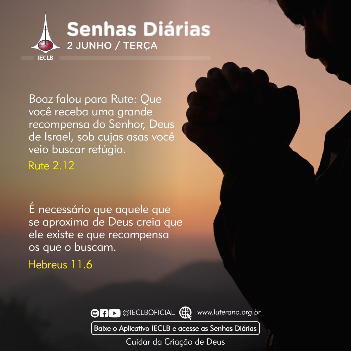 Senhas Diárias 02 06 2026