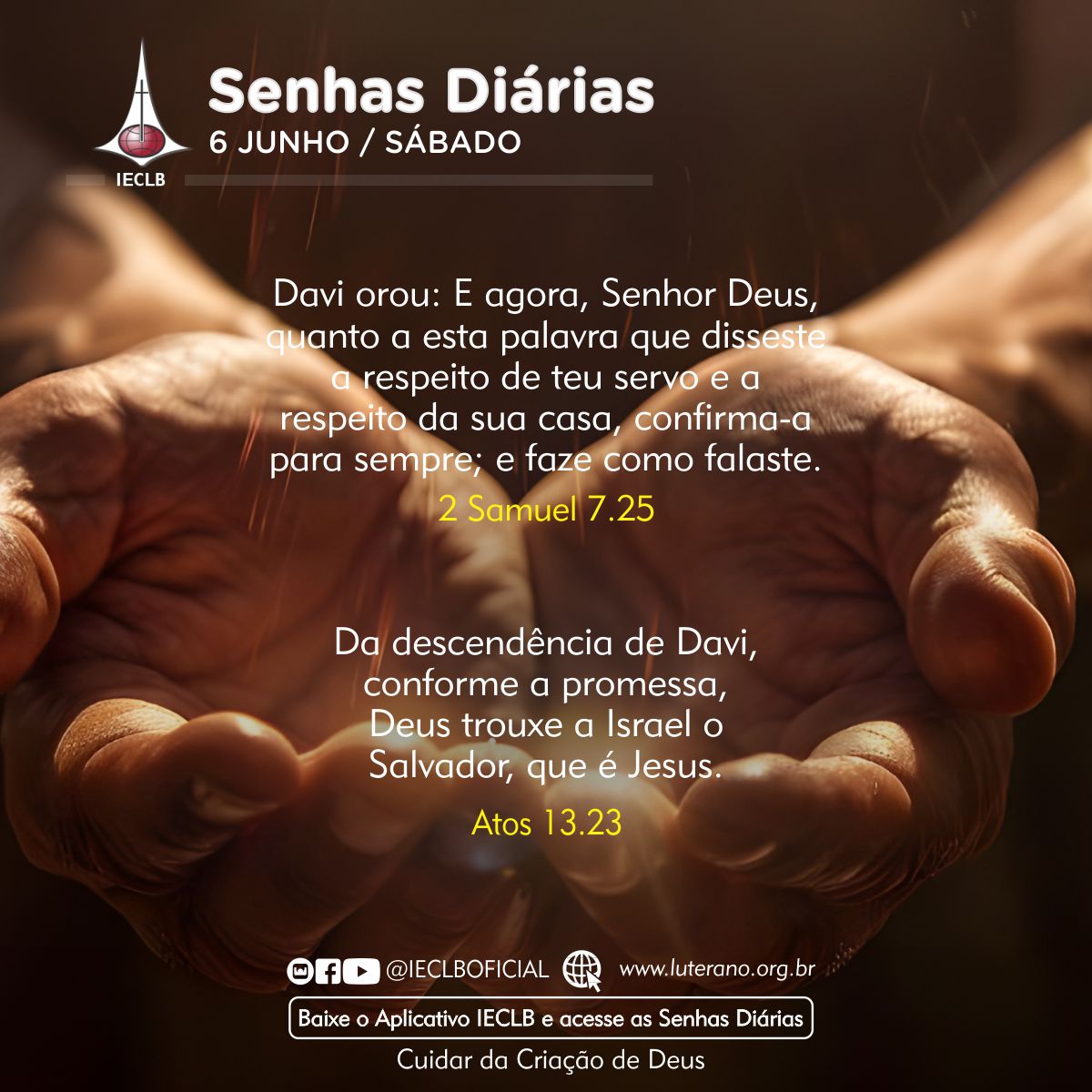 Senhas Diárias 06 06 2026