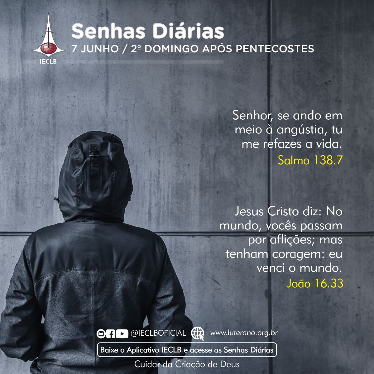 Senhas Diárias 07 06 2026