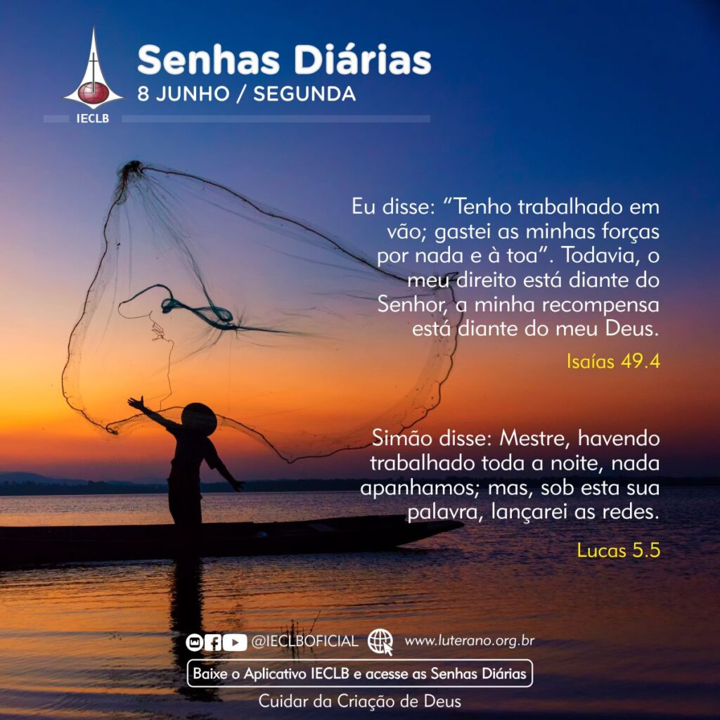 Senhas Diárias 08 06 2026