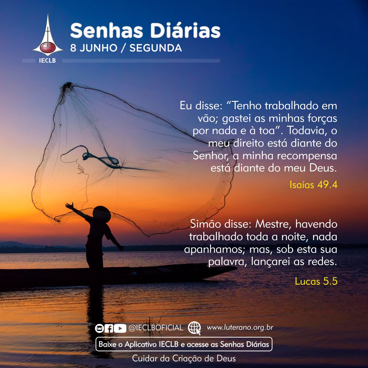 Senhas Diárias 08 06 2026