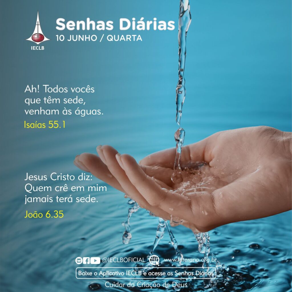 Senhas Diárias 10 06 2026
