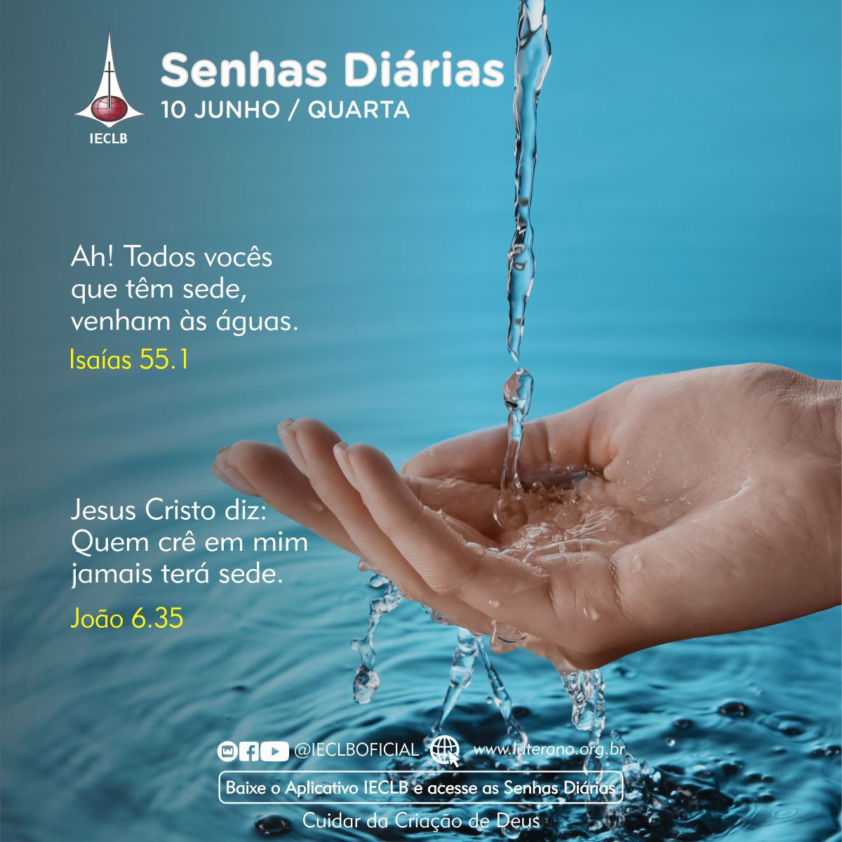 Senhas Diárias 10 06 2026