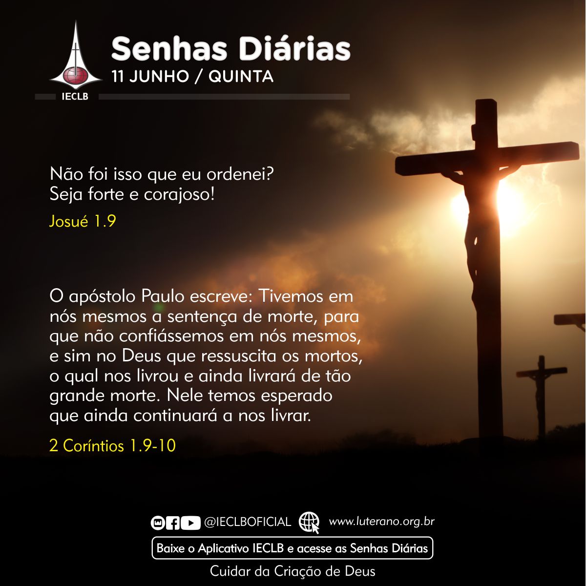 Senhas Diárias 11 06 2026