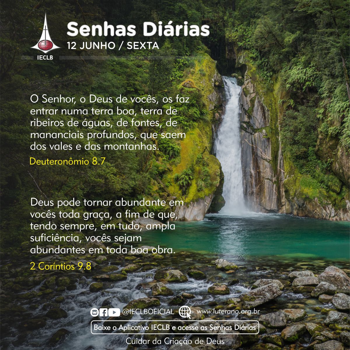 Senhas Diárias 12 06 2026