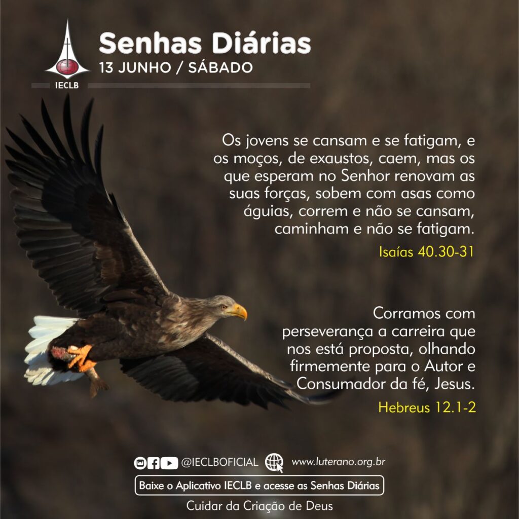 Senhas Diárias 13 06 2026