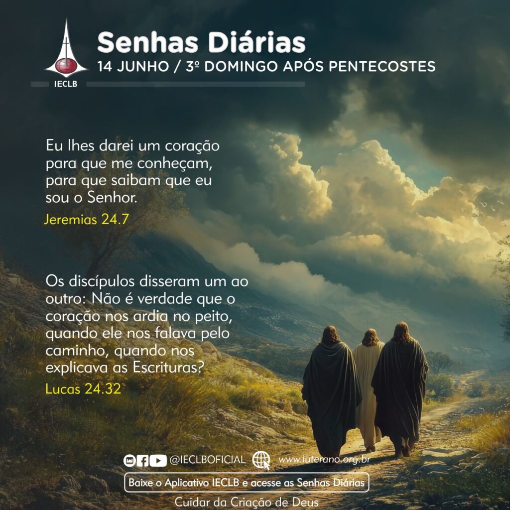 Senhas Diárias 14 06 2026