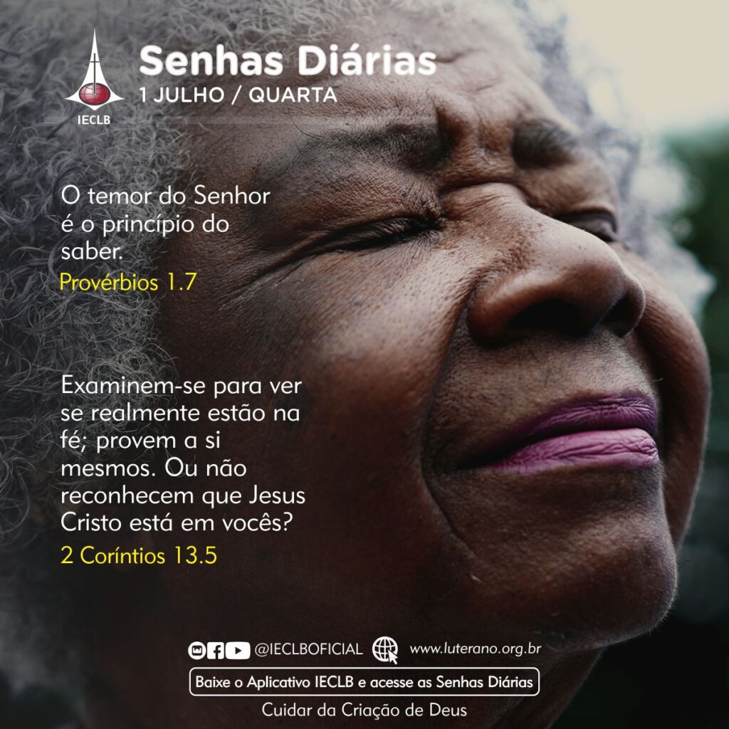 Senhas Diárias 01 07 2026
