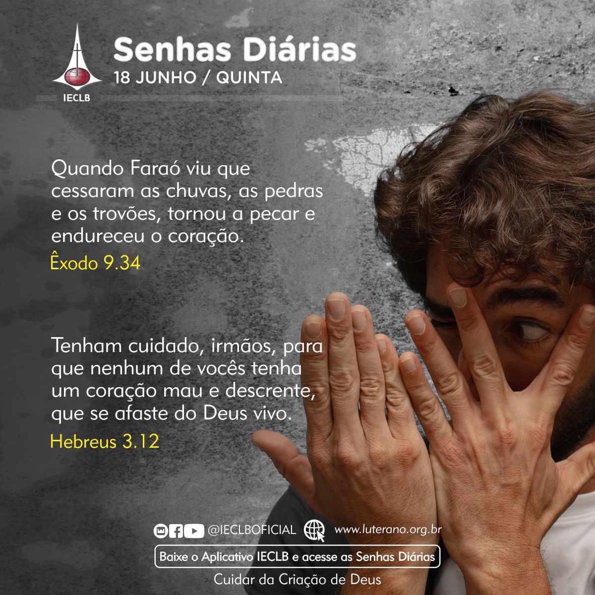 Senhas Diárias 18 06 2026