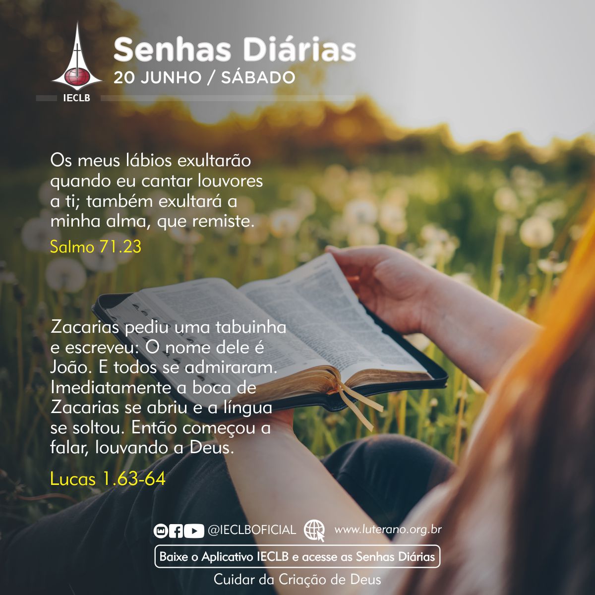 Senhas Diárias 20 06 2026