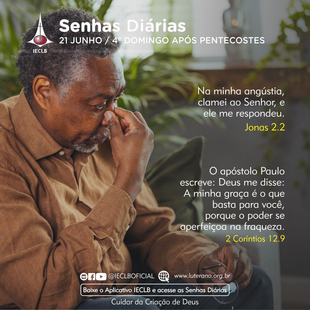 Senhas Diárias 21 06 2026