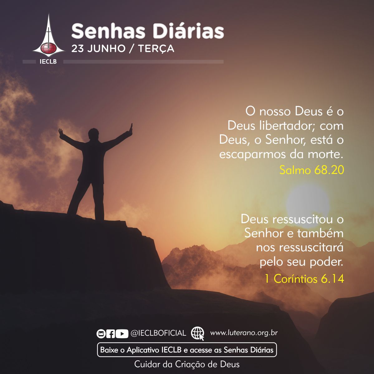 Senhas Diárias 23 06 2026