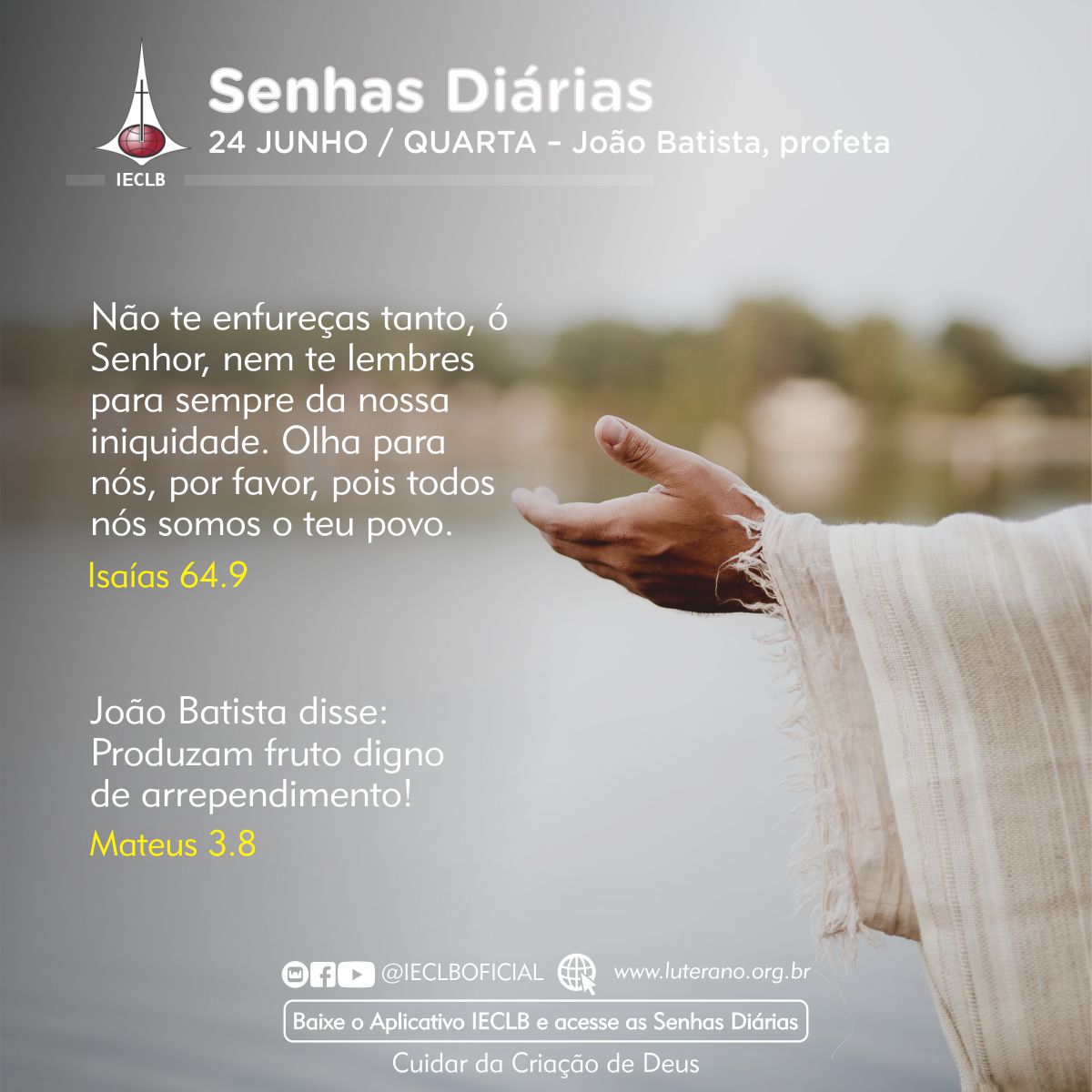 Senhas Diárias 24 06 2026