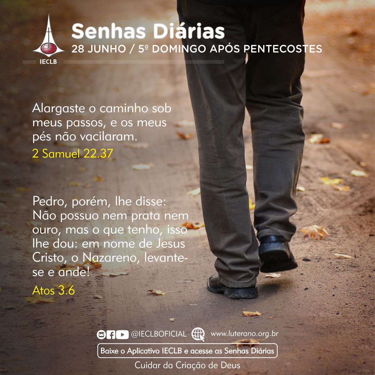Senhas Diárias 28 06 2026