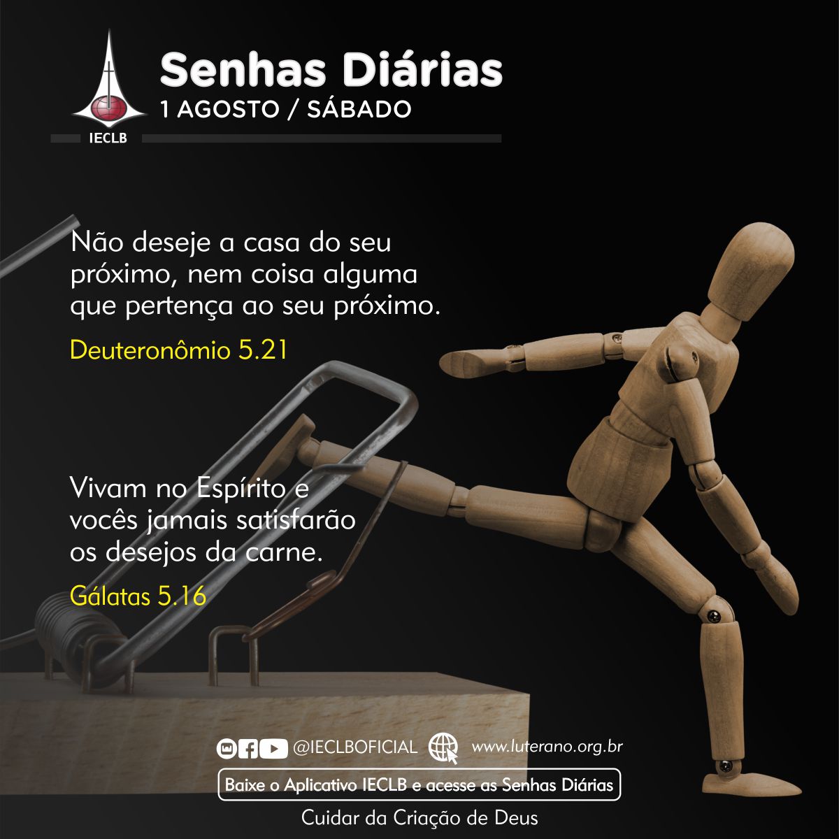 Senhas Diárias 01 08 2026