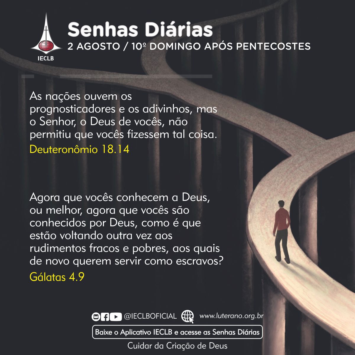 Senhas Diárias 02 08 2026