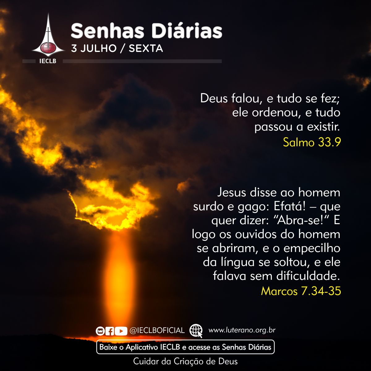 Senhas Diárias 03 07 2026
