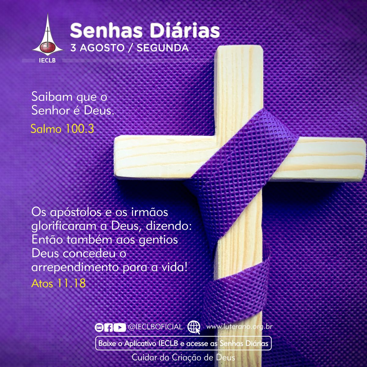 Senhas Diárias 03 08 2026