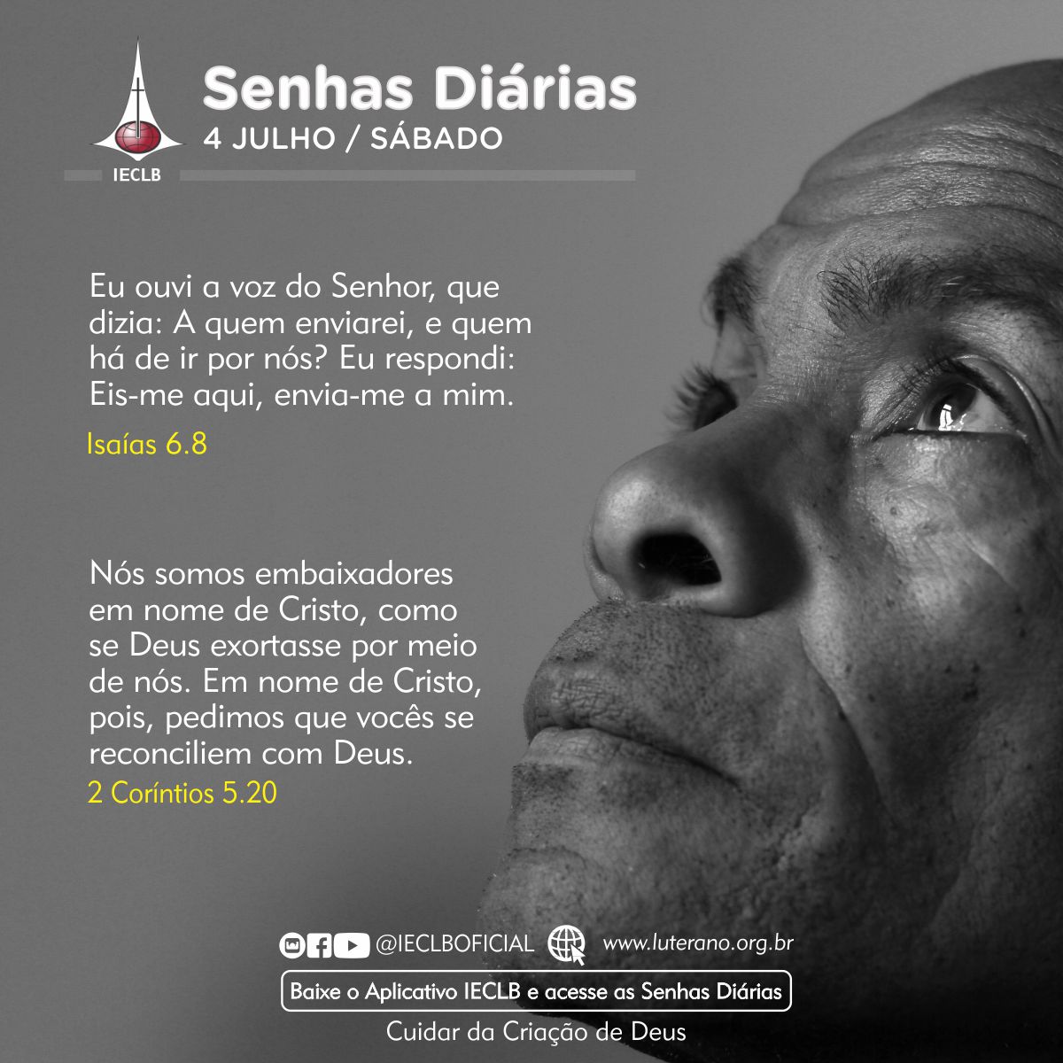 Senhas Diárias 04 07 2026