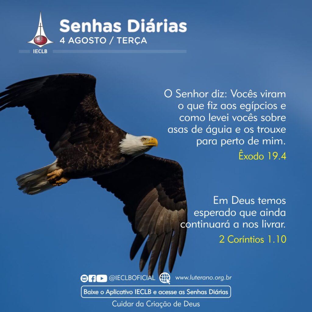 Senhas Diárias 04 08 2026